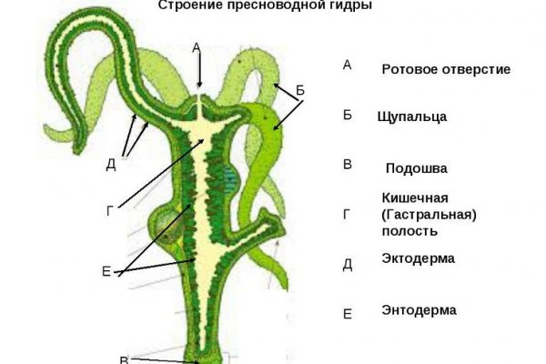 Кракен тор зеркало