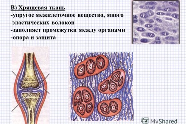 Кракен современный даркнет маркет плейс